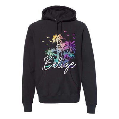 Belize Beach Vintage Palm Trees Vacation Premium Hoodie