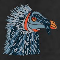 Bartgeier Bearded Vulture Ossifrage LäMmergeier 15oz Campfire Ceramic Mug