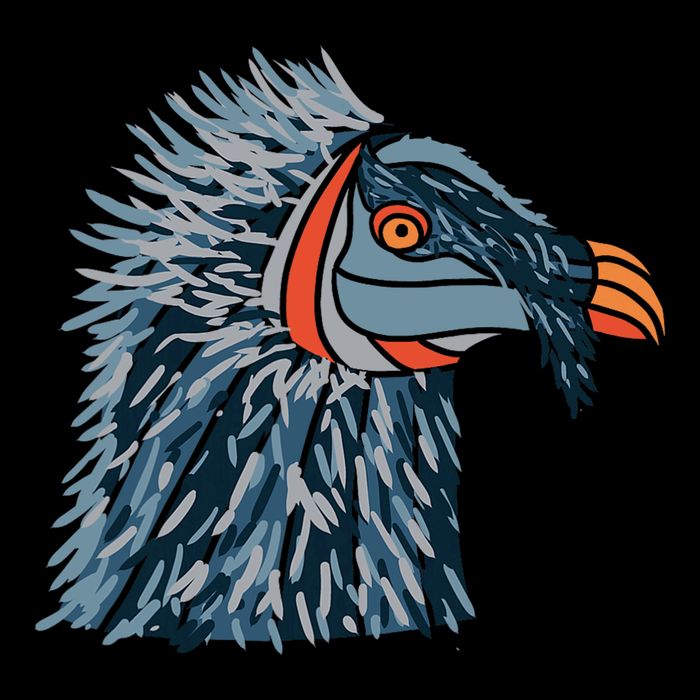 Bartgeier Bearded Vulture Ossifrage LäMmergeier 16 in Basic Backpack
