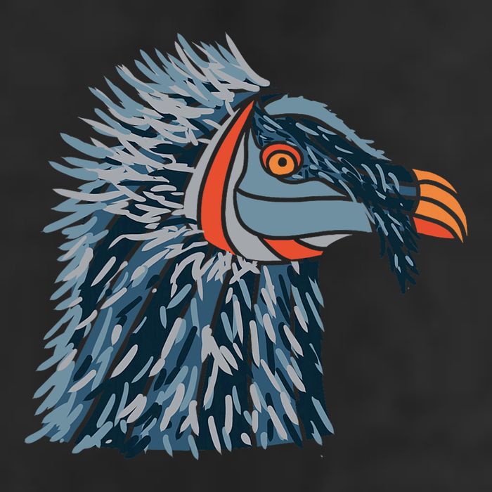Bartgeier Bearded Vulture Ossifrage LäMmergeier Tumbler