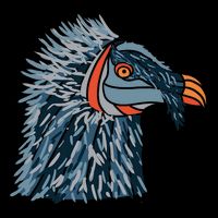 Bartgeier Bearded Vulture Ossifrage LäMmergeier Cropped Pullover Crew
