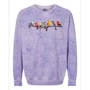 Backyard Bird Watching Watcher Birder Songbirds On A Branch Colorblast Crewneck Sweatshirt