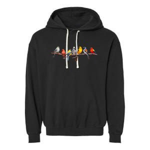 Backyard Bird Watching Watcher Birder Songbirds On A Branch Garment-Dyed Fleece Hoodie