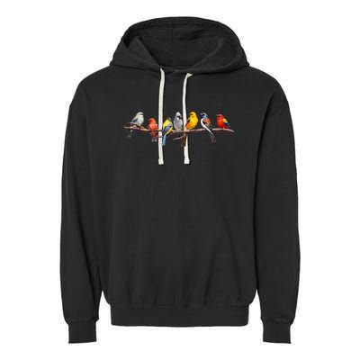 Backyard Bird Watching Watcher Birder Songbirds On A Branch Garment-Dyed Fleece Hoodie