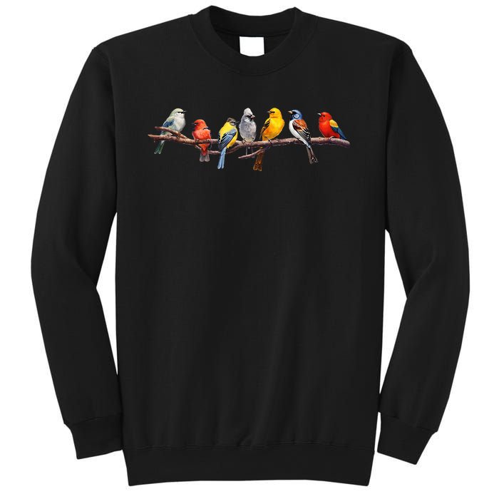 Backyard Bird Watching Watcher Birder Songbirds On A Branch Sweatshirt