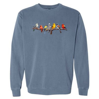 Backyard Bird Watching Watcher Birder Songbirds On A Branch Garment-Dyed Sweatshirt