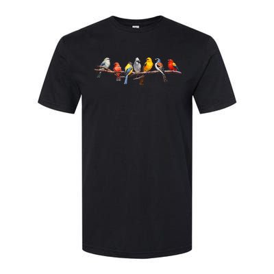 Backyard Bird Watching Watcher Birder Songbirds On A Branch Softstyle CVC T-Shirt