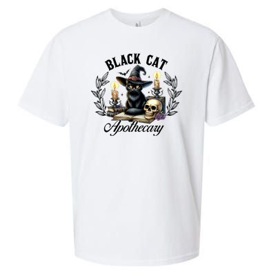 Black Cat Apothecary Funny Halloween Witchy Women Pet Love Sueded Cloud Jersey T-Shirt