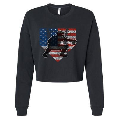 Baseball Catcher American Flag Home Plate Funny Gift Cropped Pullover Crew