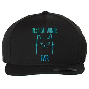 Best Cat Auntie Ever Cat Lover Gift Funny Gift Wool Snapback Cap