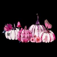 Breast Cancer Awareness 16 in Basic Backpack