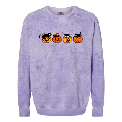 Black Cat And Pumpkin For Printing Cute Halloween Pumpkin Gift Colorblast Crewneck Sweatshirt