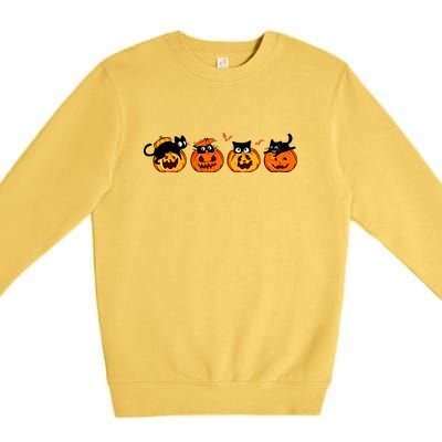 Black Cat And Pumpkin For Printing Cute Halloween Pumpkin Gift Premium Crewneck Sweatshirt