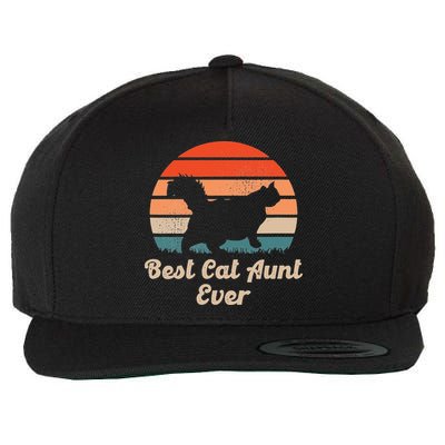 Best Cat Aunt Ever Auntie and Cats Wool Snapback Cap
