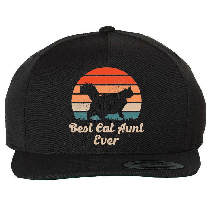 Best Cat Aunt Ever Auntie and Cats Wool Snapback Cap