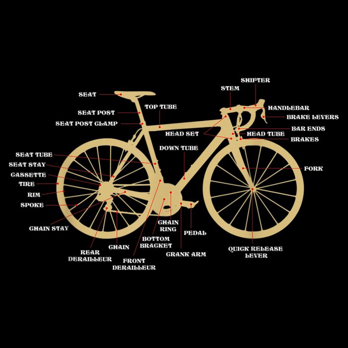 Bicycle Cycling Anatomy Road Bike Parts Biking Cyclist Tall T-Shirt