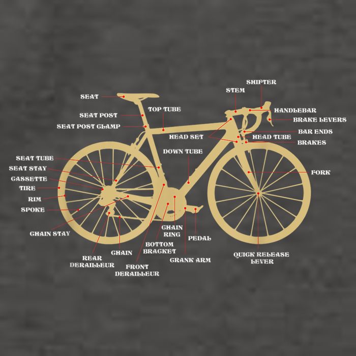 Bicycle Cycling Anatomy Road Bike Parts Biking Cyclist Vector Backpack