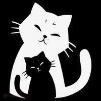 Black Cat And White Cat Bucket Hat