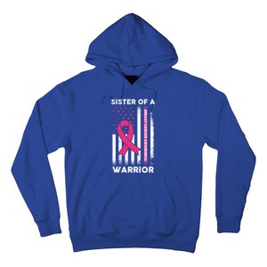 Breast Cancer Awareness Funny Gift Sister Of A Warrior Support Squad Gift Hoodie