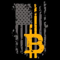 Bitcoin Crypto American Flag Gold Thin Line 7-Panel Snapback Hat