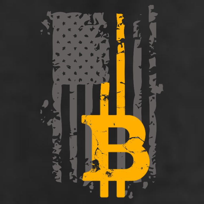 Bitcoin Crypto American Flag Gold Thin Line Trucker Hat