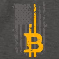 Bitcoin Crypto American Flag Gold Thin Line Vector Backpack