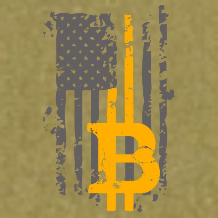 Bitcoin Crypto American Flag Gold Thin Line Garment-Dyed Women's Muscle Tee