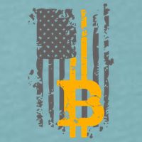 Bitcoin Crypto American Flag Gold Thin Line Sueded Cloud Jersey T-Shirt