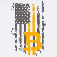 Bitcoin Crypto American Flag Gold Thin Line Garment-Dyed Sweatshirt