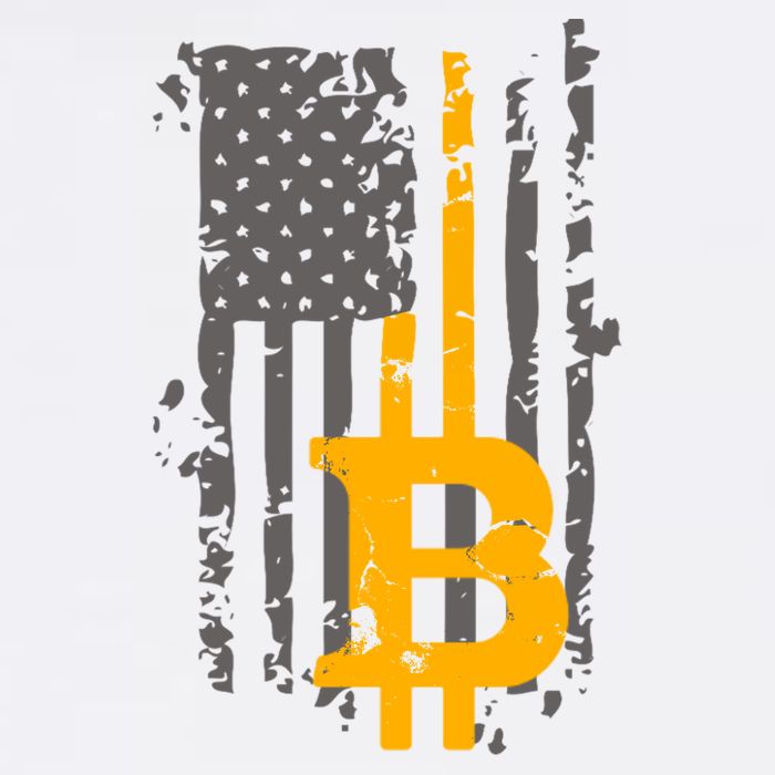 Bitcoin Crypto American Flag Gold Thin Line Garment-Dyed Sweatshirt