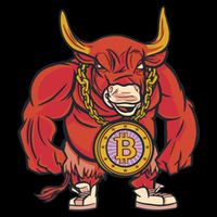 Bitcoin Chain Bull 16 in Basic Backpack