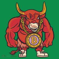 Bitcoin Chain Bull Magnet