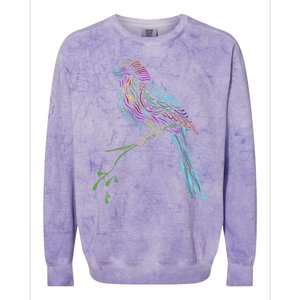 Birdwatcher Colourful Bird Watching Parrot Budgie Colorblast Crewneck Sweatshirt