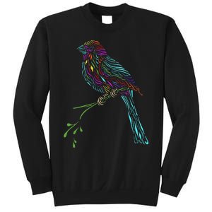 Birdwatcher Colourful Bird Watching Parrot Budgie Sweatshirt