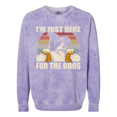 Border Collie Beer Im Just Here For The Boos Funny Meaningful Gift Colorblast Crewneck Sweatshirt