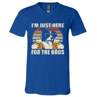 Border Collie Beer Im Just Here For The Boos Funny Meaningful Gift V-Neck T-Shirt