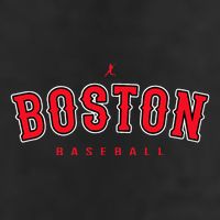 Boston City Baseball Retro Vintage Baseball Lover Beanie