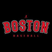 Boston City Baseball Retro Vintage Baseball Lover Toddler T-Shirt