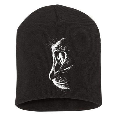 Black Cat Short Acrylic Beanie