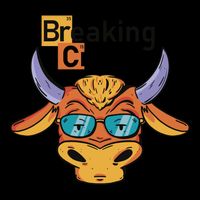 Breaking Crypto Bull Mesh Reversible Basketball Jersey Tank