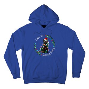 Black Cat Christmas Light I Am So Freaking Merry Gift Hoodie