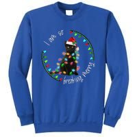 Black Cat Christmas Light I Am So Freaking Merry Gift Sweatshirt