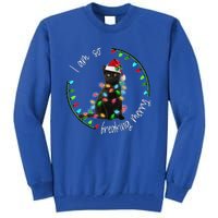 Black Cat Christmas Light I Am So Freaking Merry Gift Tall Sweatshirt