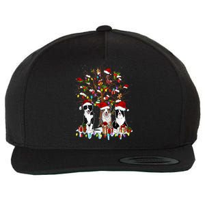 Border Collie Christmas Tree Funny Xmas Border Collie Dog Gift Wool Snapback Cap