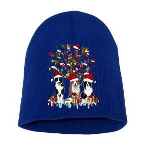 Border Collie Christmas Tree Funny Xmas Border Collie Dog Gift Short Acrylic Beanie