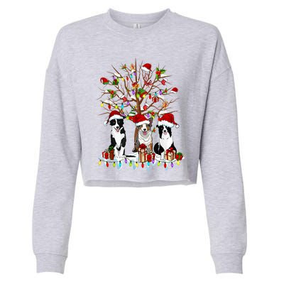 Border Collie Christmas Tree Funny Xmas Border Collie Dog Gift Cropped Pullover Crew