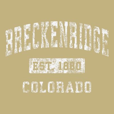 Breckenridge Colorado Co Vintage Established T-Shirt