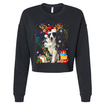 Border Collie Christmas Tree Light Pajama Dog Xmas Gift Cropped Pullover Crew