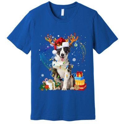 Border Collie Christmas Tree Light Pajama Dog Xmas Gift Premium T-Shirt