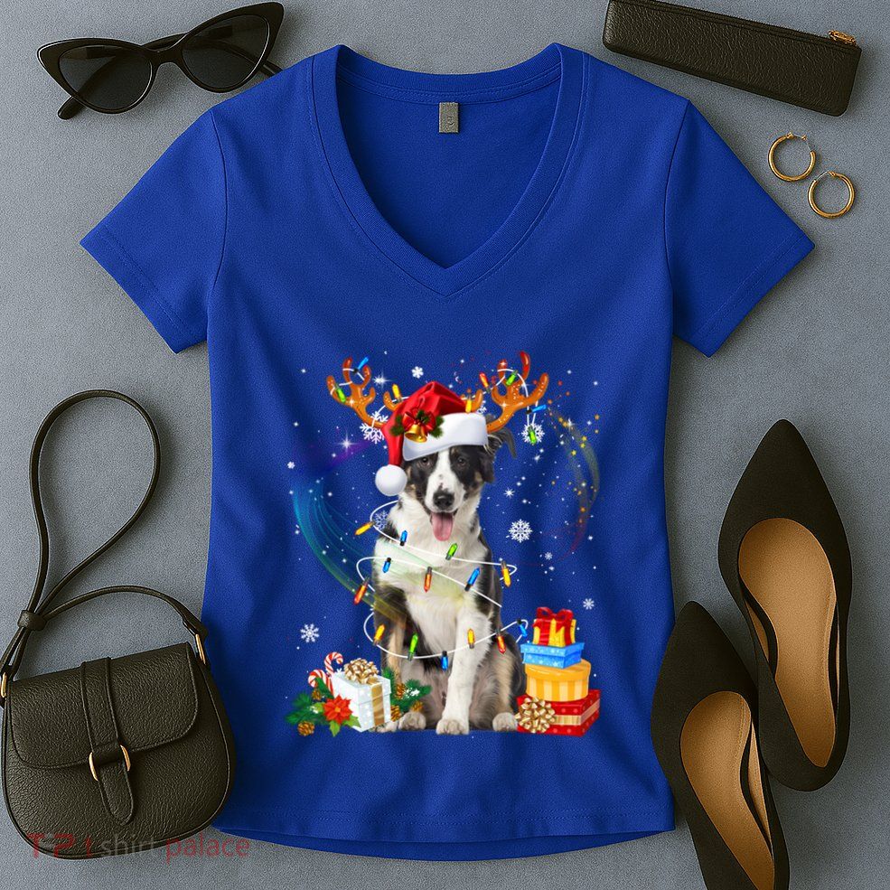 Border Collie Christmas Tree Light Pajama Dog Xmas Gift Women's V-Neck T-Shirt